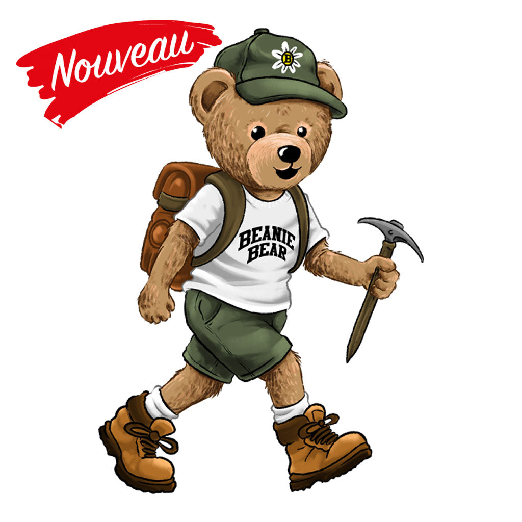 BEAR 29
